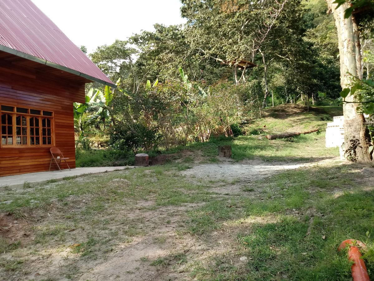 La Cabana De Noa Oxapampa Kültér fotó